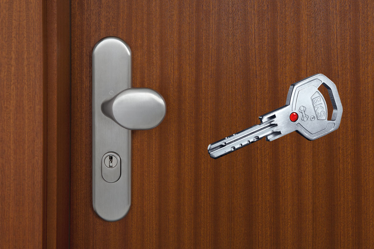 Wohnungseingangstür Knopfgarnitur